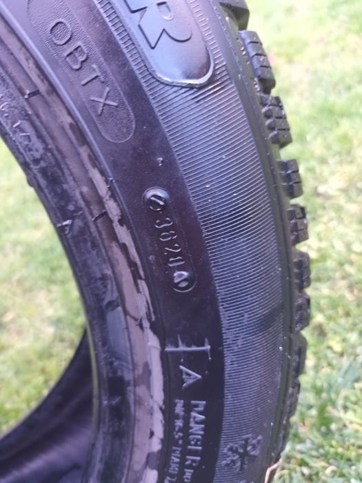 Cauciucuri iarna tigar