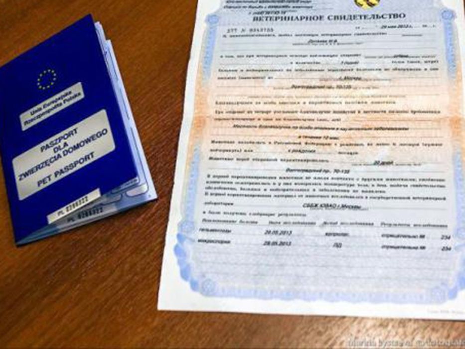 Ветеринарный паспорт/ титры