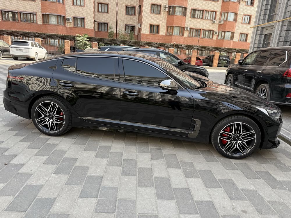 Kia stinger kraska toza