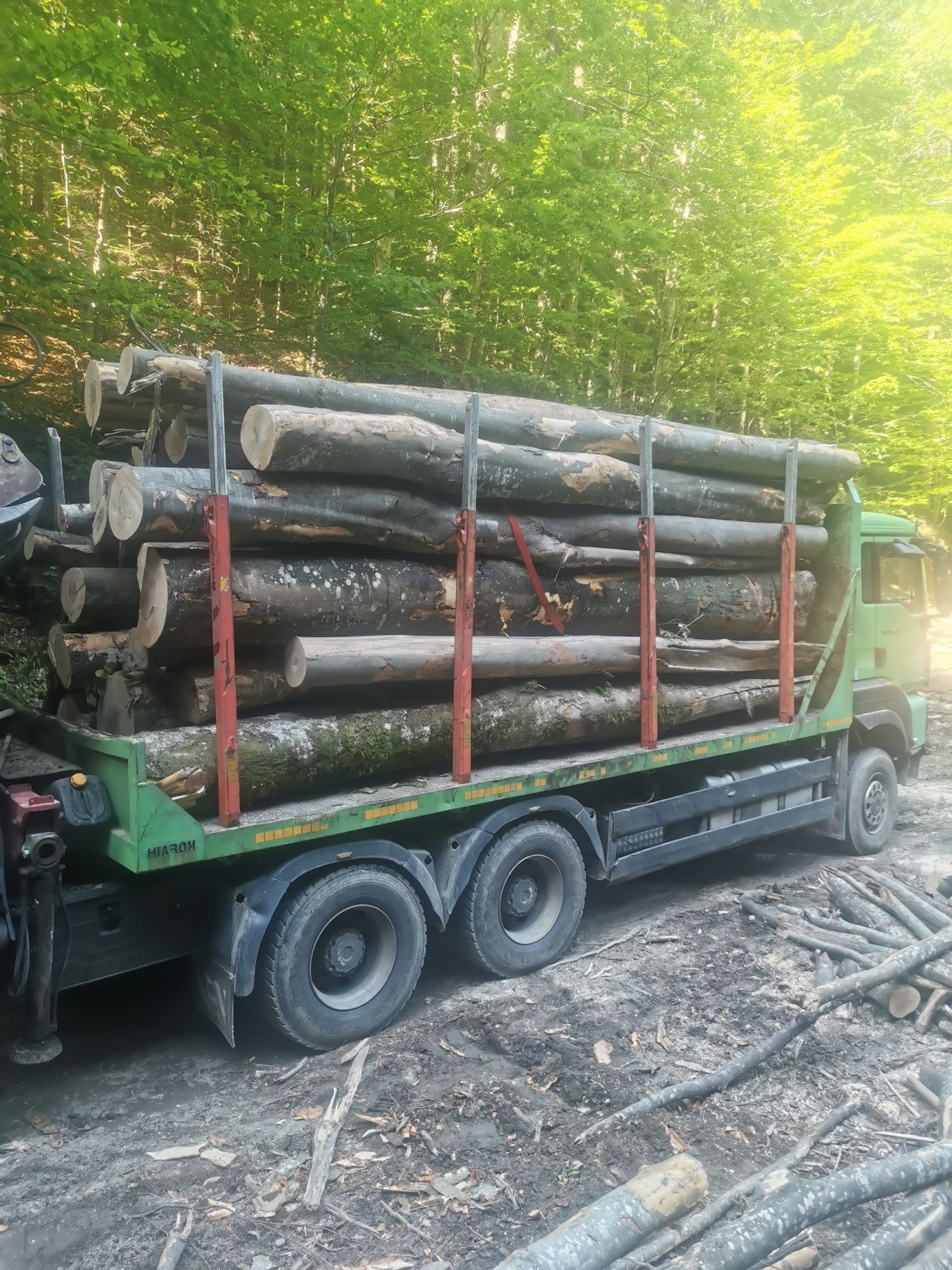LEMN de FOC-fag-stejar-salcam