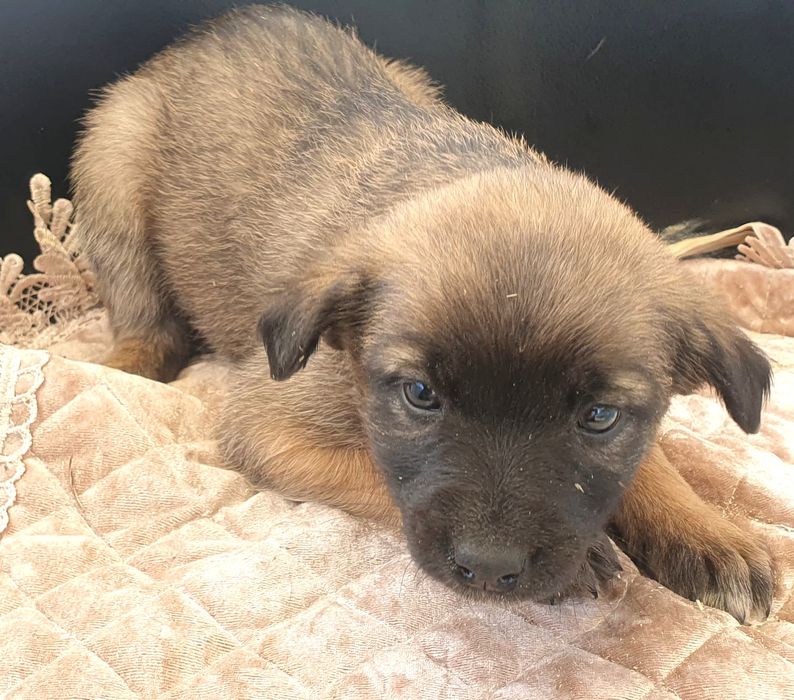 малышам нужен дом