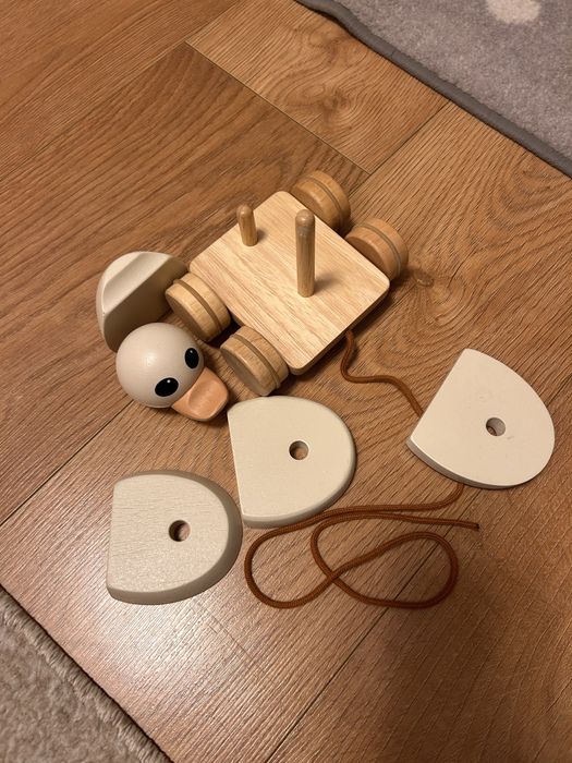 Rata/gasca little dutch