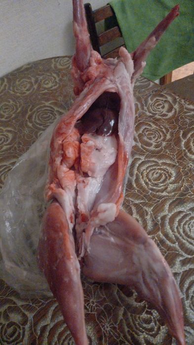 Кроличье мясо...