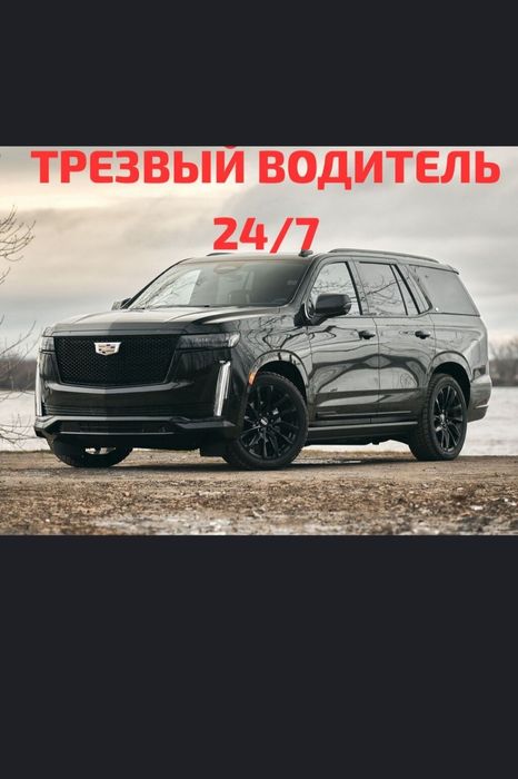 Трезвый водитель Павлодар