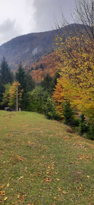 Vând teren intravilan 2500mp