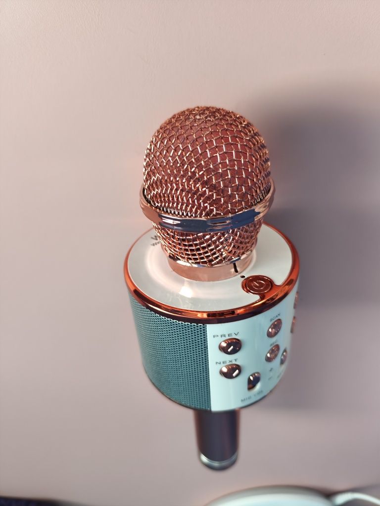 Microfon speaker Roz si aur