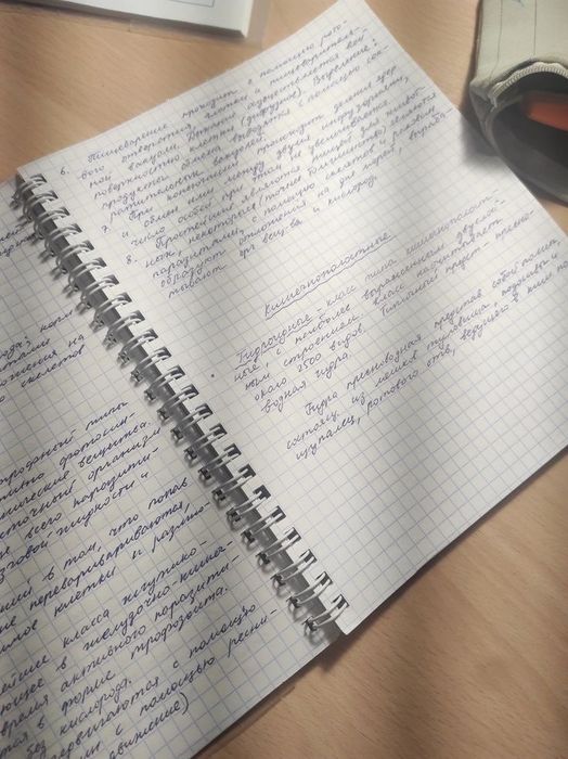 Пишу конспекты разных обьемов