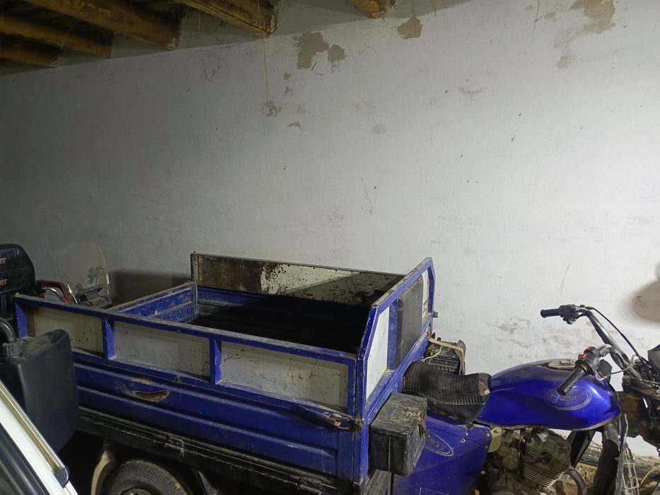 Муравей сотилади