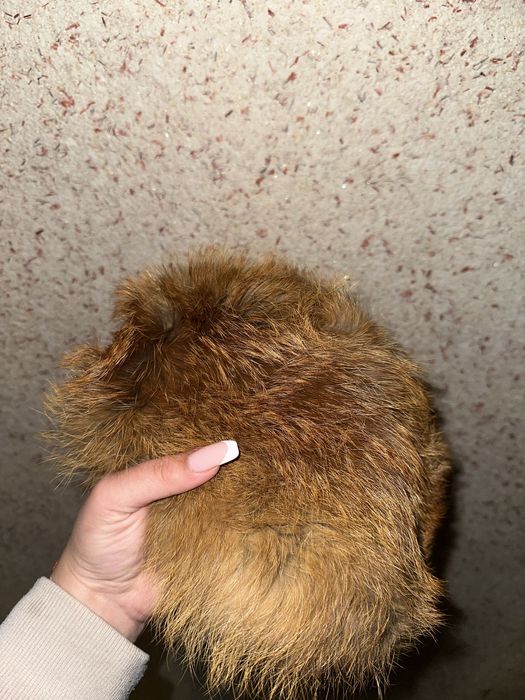 Шапка от лисица