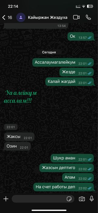 Шины липушка 4шт