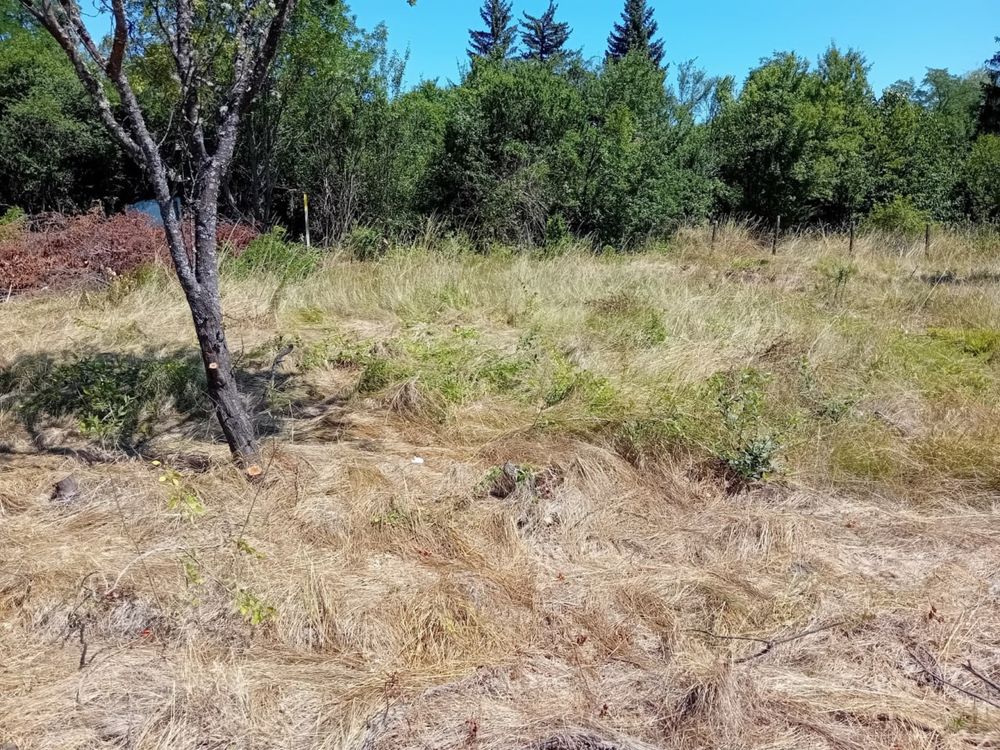 Продава ПАРЦЕЛ с. Негованци, община Радомир,  област Перник
