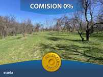 Teren Intravilan 3470 MP - Bradu, Arges - Toate utilitatile-0% COMISIO