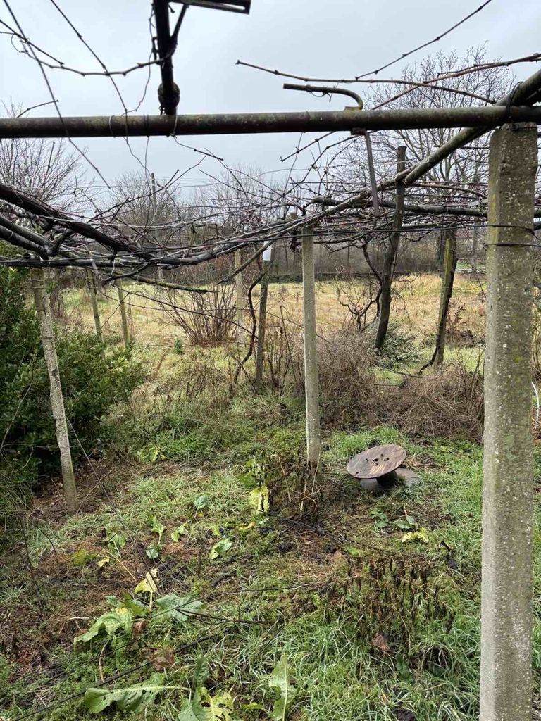 Продава се Къща в Варна, Западна промишлена зона - 5000 кв.м за 2 €/кв.м - Снимка #4