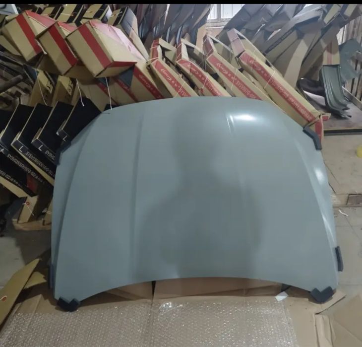 Капот Byd destroyer 05