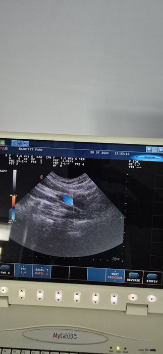 Ecograf Esaote My Lab 30CV