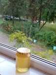 Vand miere de salcam