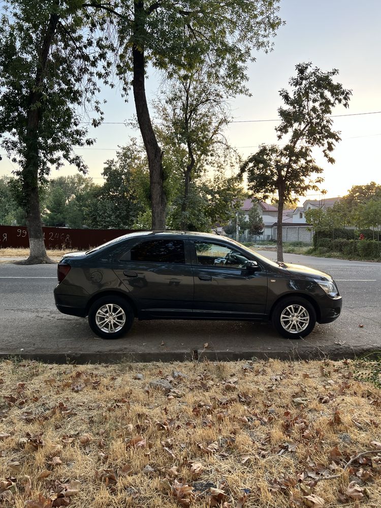 Cobalt Ltz 2022