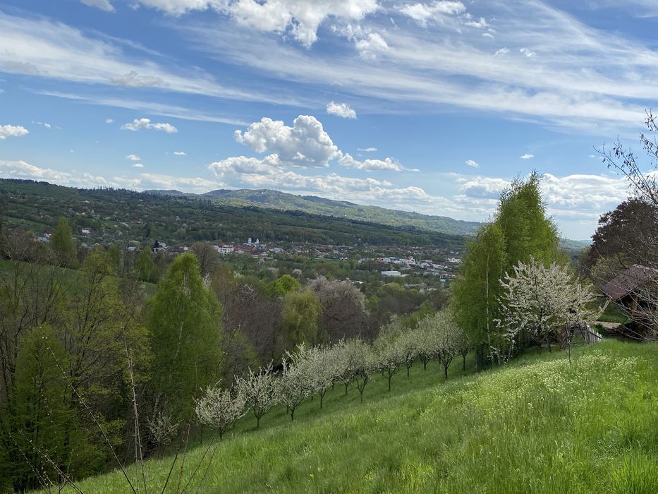 Vand ferma 1,6 ha livada pruni si faneata Valea Mare Pravat