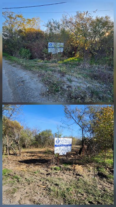 Miniexcavator Bobcat Picon Defrisare Compactor De Inchiriat