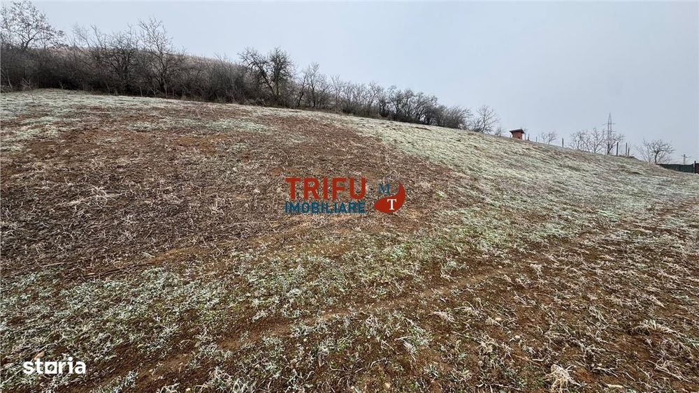 Teren  2000 mp de vanzare in Sard