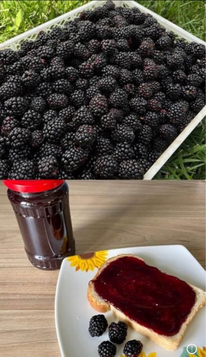 Dulceata mure fara seminte