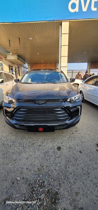 Xolati yashi kraskasi toza