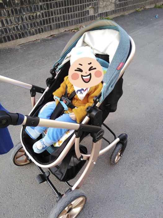 Коляска раборная