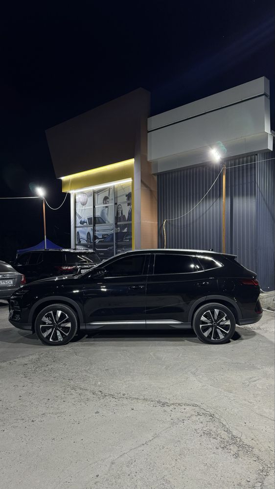 Byd Chempion Restailing 2024