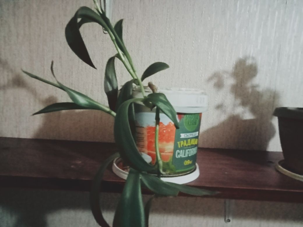 Продам полки под цветы