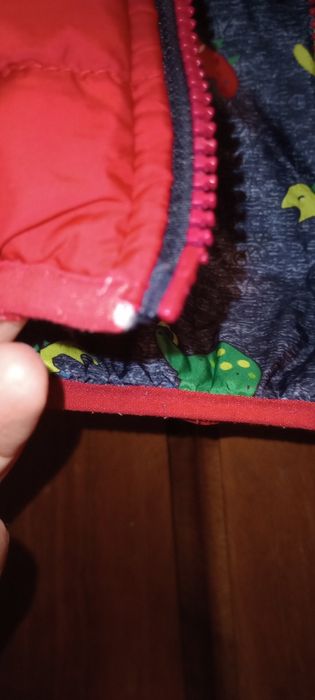 Червено яке с две лица, на динозаври от едната страна