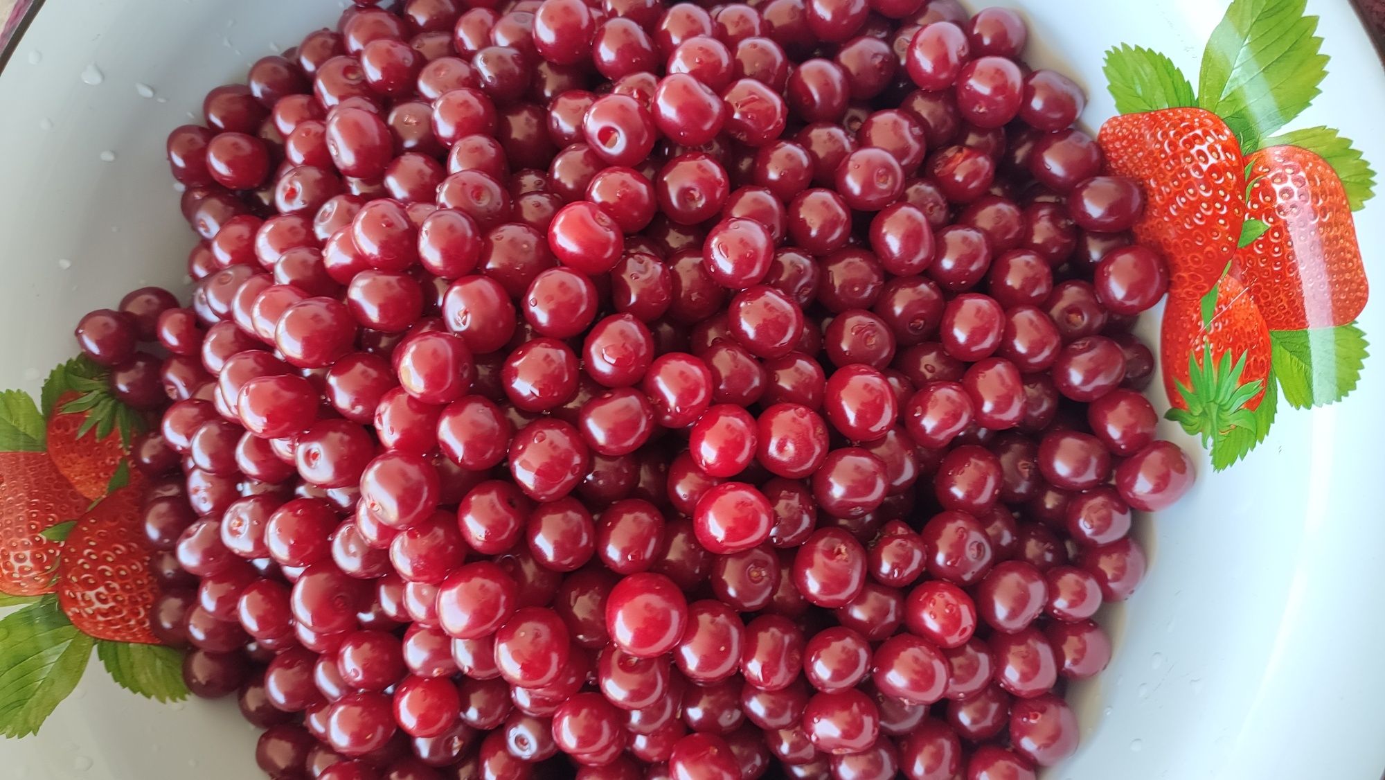 Продам вишню, свежая