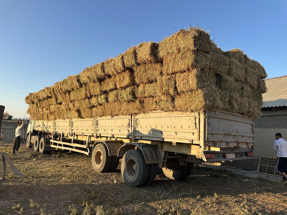 Пресс шөп, кішкене пішен аралас, қылтығы жоқ