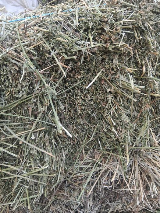 Vand baloti de lucerna