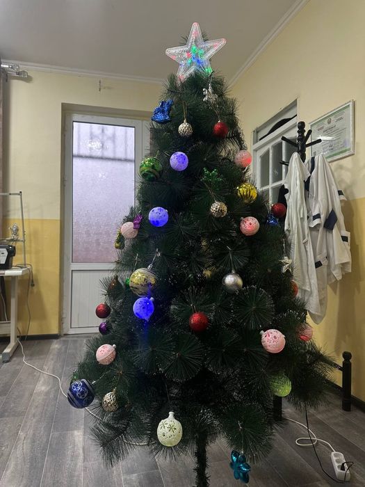 Ёлка, большая и пышная.