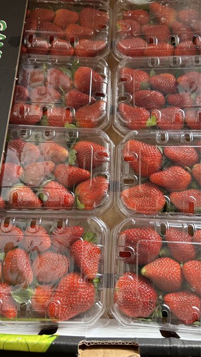 Доставка овощей и фруктов по оптовой цене