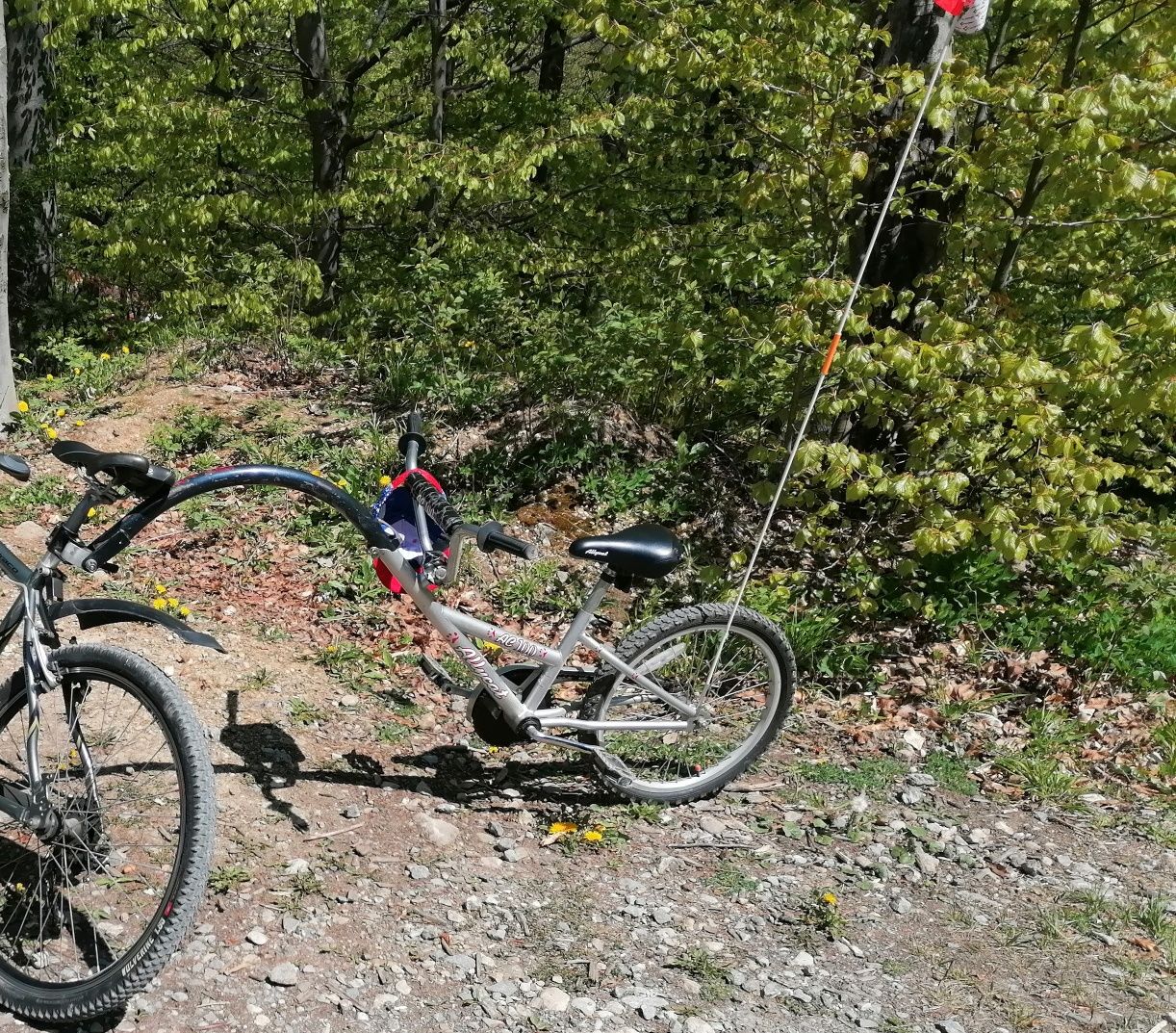 Ataș , (remorca) bicicleta