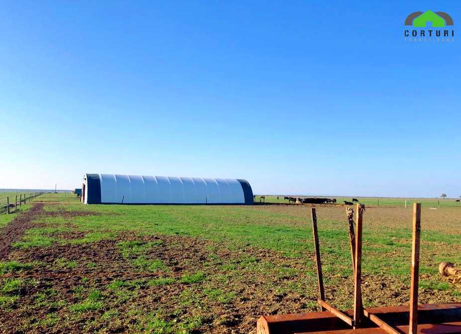 Cort industrial depozitare până la 366 mp! Preț BOMBĂ!