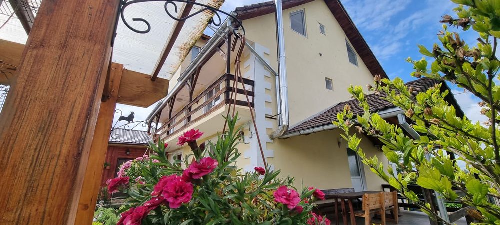 Casă de vacanță/Pensiune,zona turistica cu potențial, afacere la cheie