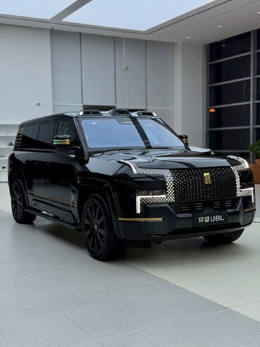 Yang Wang U 8 L CIP