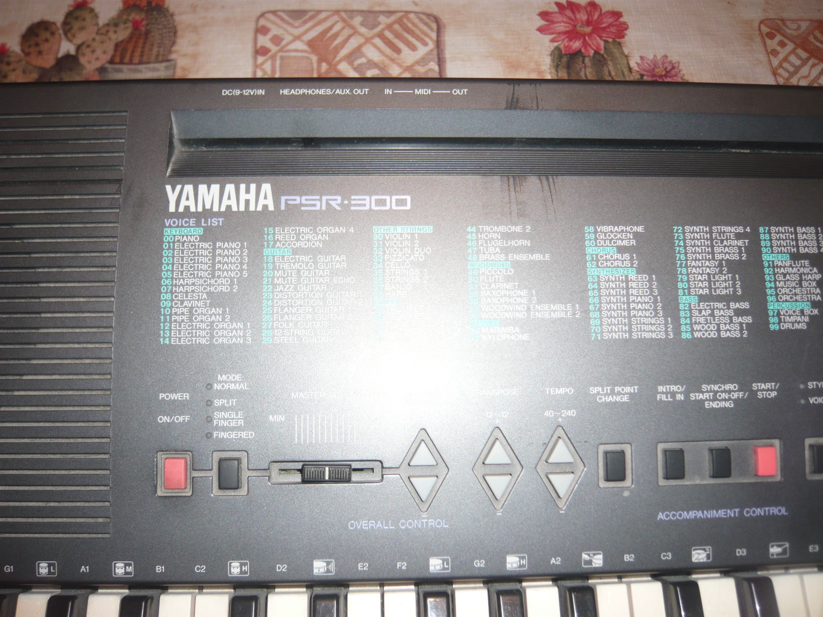 Orga electronica Yamaha PSR 300, cinci octave, clape normale, Japonia