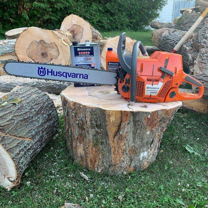 Toaletare, taiere, doborat copaci, arbori sau pomi