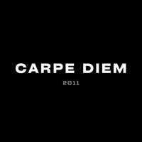 Декларант ООО «Carpe diem»успешно развивает свою деятельность c 2011 г