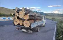 Lemn de foc Fag !!! Tot judetul !!!