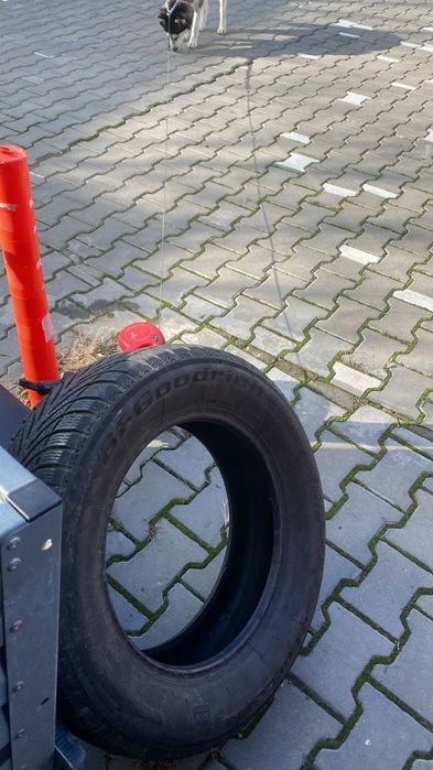 Anvelope iarna 215.65.16