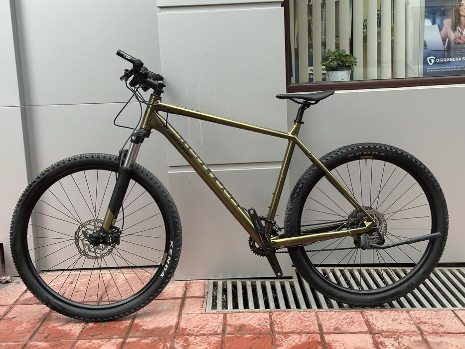 Bergamont Revox 6 29 XXL