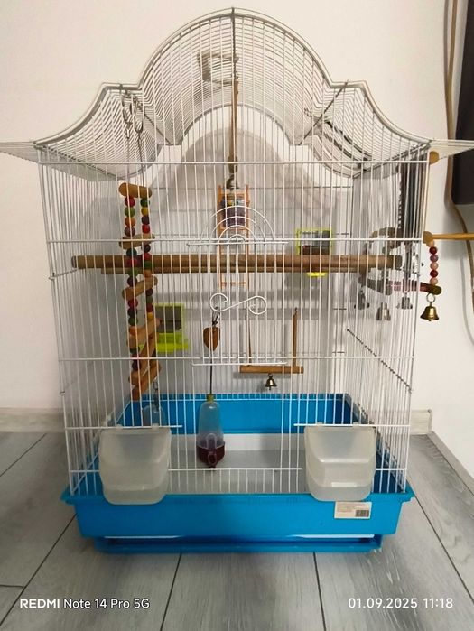 Colivie pentru perusi