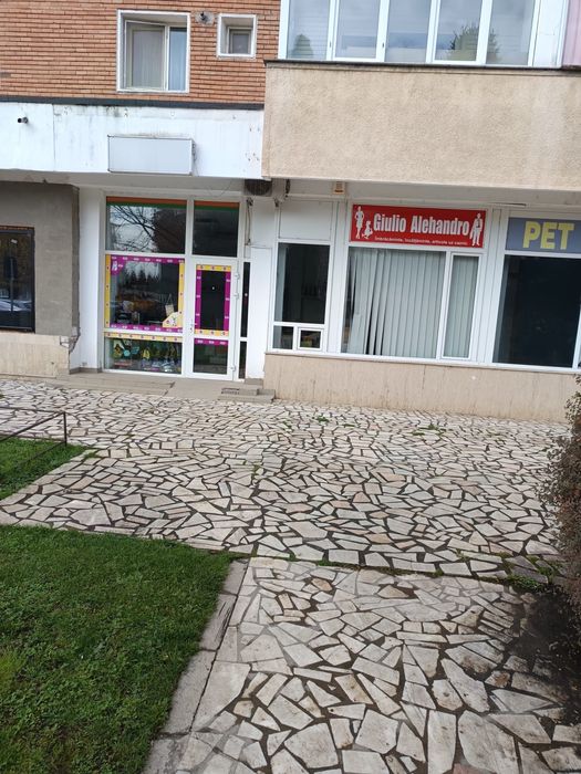 spatiu comercial zona centrala SIMERIA