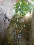 It parodali zor toza