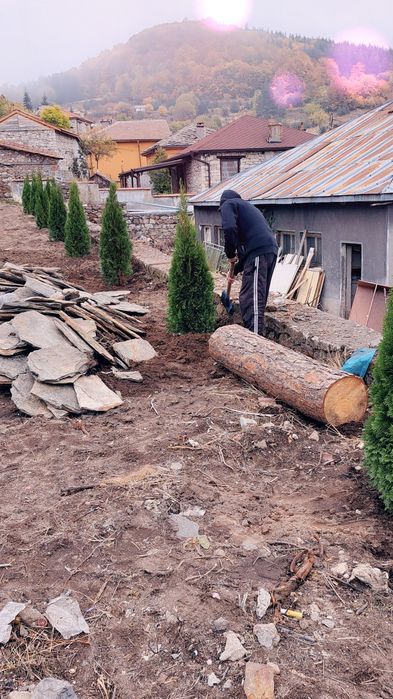 Туя смарагд перфектни 160см