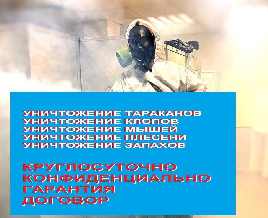 Уничтожение муравьев, клопов, ос, тараканов, кротов, муравьев, мышей.